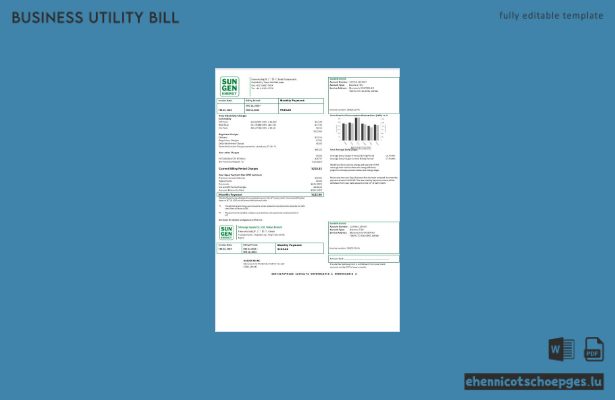 Japan S-Energy Japan Co. Ltd., Niederlassung Tokio – Beispielrechnung für Versorgungsunternehmen, Version 2